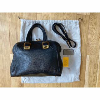 フェンディ(FENDI)の【美品】フェンディ　カメレオンバッグ(ハンドバッグ)