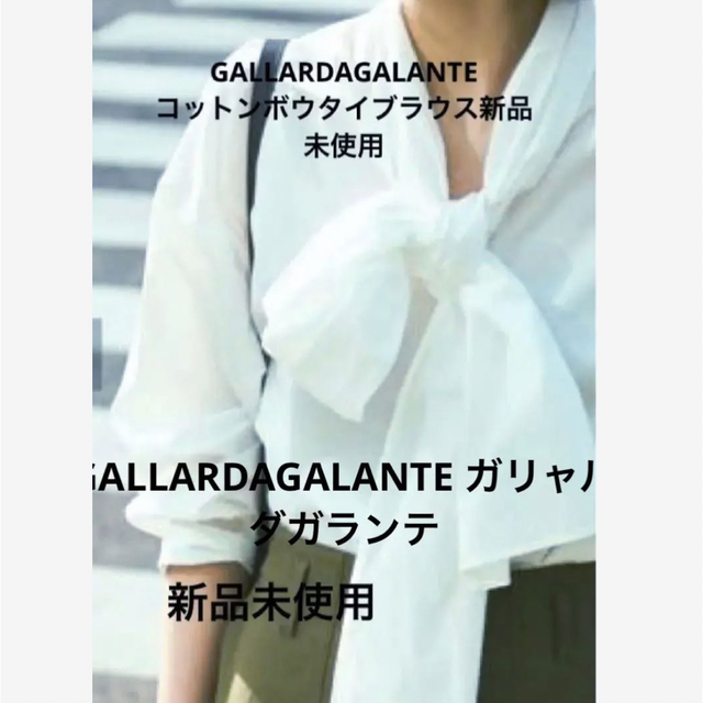 お求めやすく価格改定 GALLARDAGALANTE コットンボウタイブラウス