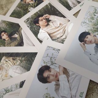 ネイチャーリパブリック(NATURE REPUBLIC)のNCT127  メンバー全員のポストカード　NATURE REPUBLIC(アイドルグッズ)