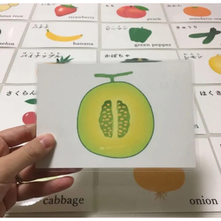 野菜と果物の断面図カード　26枚　ハンドメイド(知育玩具)