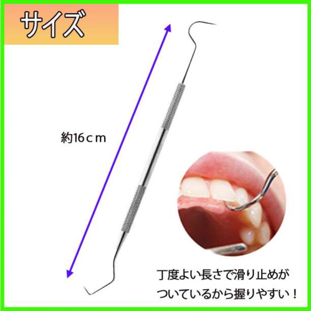 お買得 歯石取り スケーラー 1本 ヤニ デンタルオーラル ステンレス デンタル ペット