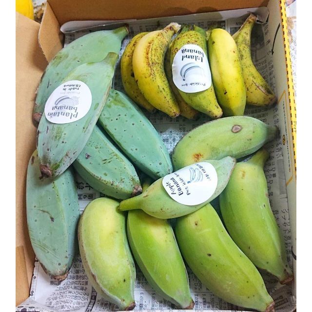 沖縄本島北部「やんばる産直」国産3種のバナナセット！！ 食品/飲料/酒の食品(フルーツ)の商品写真