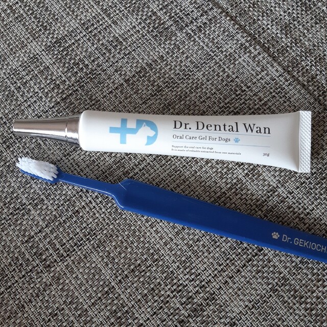Dr.Dental Wan 　ドクターデンタルワン 犬用口腔ジェル 30g その他のペット用品(犬)の商品写真