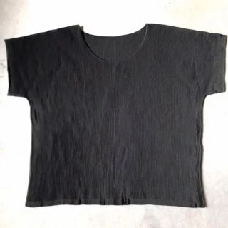 プリーツプリーズイッセイミヤケ(PLEATS PLEASE ISSEY MIYAKE)のプリーツプリーズカットソー(カットソー(半袖/袖なし))