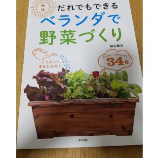 だれでもできるベランダで野菜づくり 新版(趣味/スポーツ/実用)