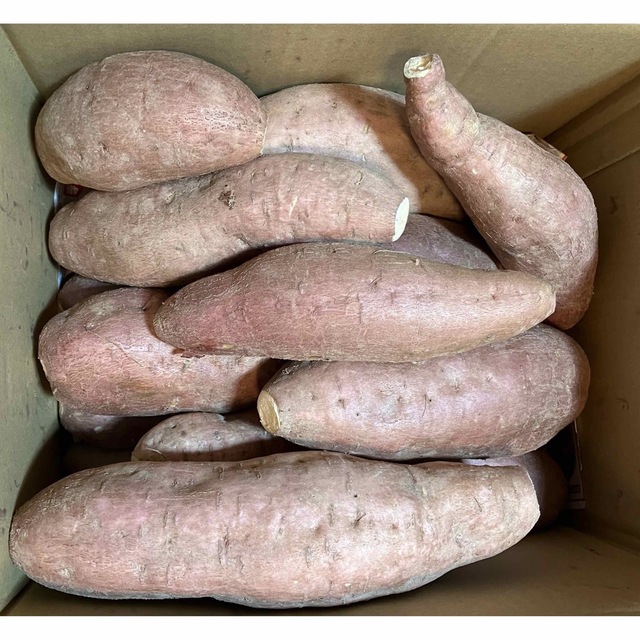 さつまいも　安納芋　愛媛県産　農家直送　サイズ混載　約3kg 食品/飲料/酒の食品(野菜)の商品写真