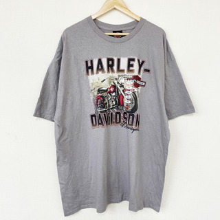 ハーレー(Hurley)のハーレーダビットソン HARLEY-DAVIDSON Tシャツ  両面 プリント TOMB STONE 半袖 サイズ：XXL グレー系   新品(Tシャツ/カットソー(半袖/袖なし))