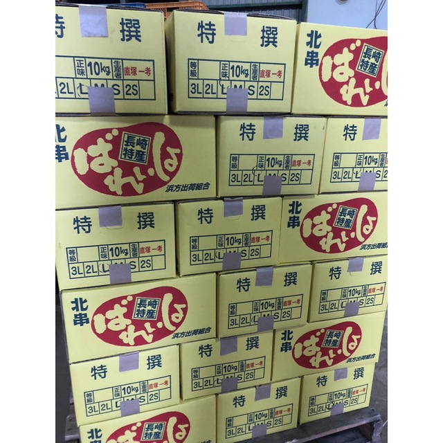 【送料込】大特価！じゃがいも10kg 食品/飲料/酒の食品(野菜)の商品写真