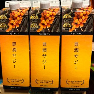 フィネス(Finess)の豊潤サジー　1000ml×3 セット売り(その他)