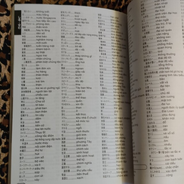 ベトナム ベトナム語 第２版 エンタメ/ホビーの本(地図/旅行ガイド)の商品写真
