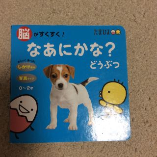 脳がすくすく！なあにかな？どうぶつ しかけ絵本 古本 (絵本/児童書)