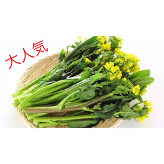 風味抜群美味しい❗️❗️ 次々収穫できる『アスパラ菜』　種 60粒(野菜)