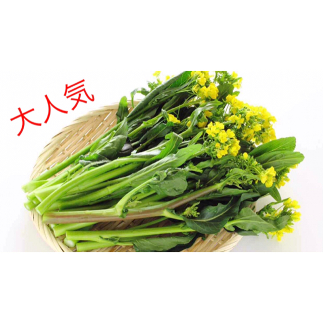 風味抜群美味しい❗️❗️ 次々収穫できる『アスパラ菜』　種 60粒 食品/飲料/酒の食品(野菜)の商品写真