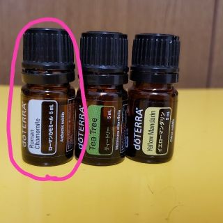 ドテラ(doTERRA)のあけリン様専用　ドテラ　ローマンカモミール　ジンジャー(エッセンシャルオイル（精油）)