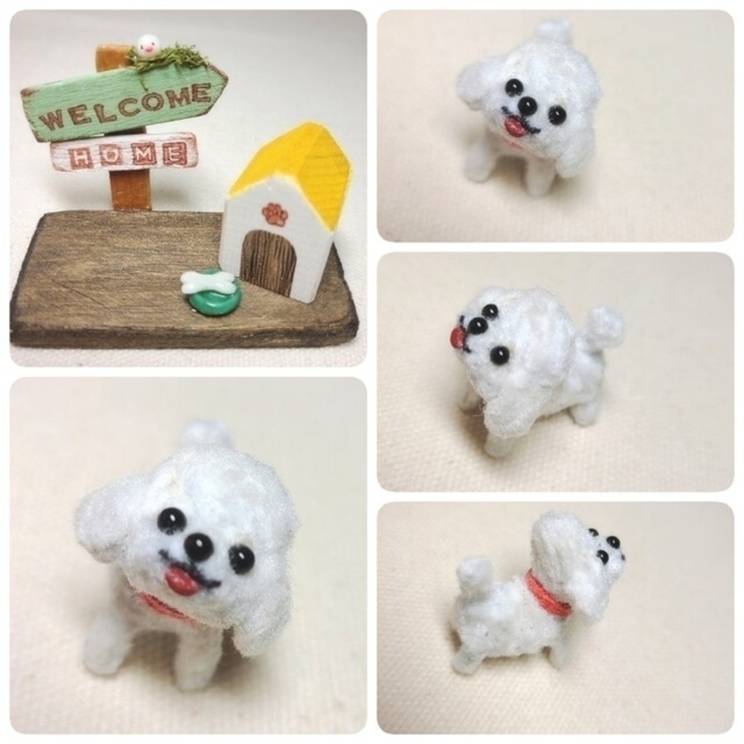 展示用　モールちびわんこ　トイプードル