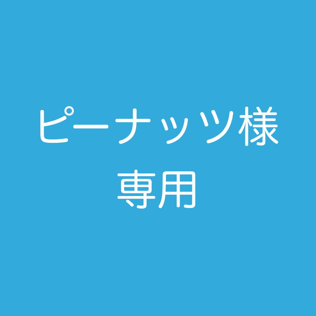 ピーナッツ様専用 スマホ/家電/カメラのテレビ/映像機器(プロジェクター)の商品写真