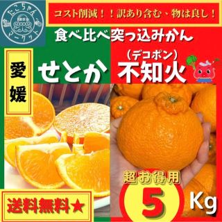 【希少☆食べ比べ突っ込みかん】愛媛県　小～中玉　不知火×せとか　5kg(フルーツ)