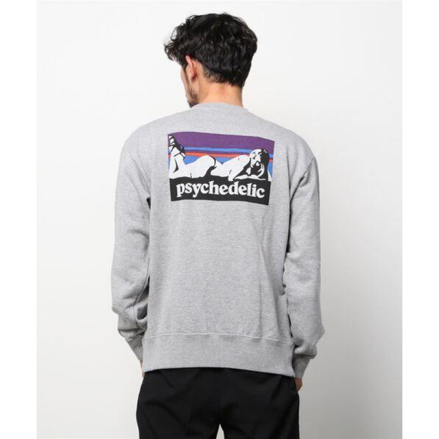 ヒステリックグラマー PSYCHEDELIC スウェット Mサイズ グレー skac.hr