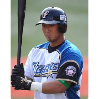 ミズノ(MIZUNO)の現 巨人軍 中田翔選手型(M16)硬式木製バット コーヒーブラウン全塗り(バット)