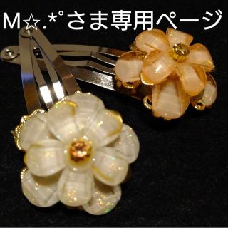 M✩.*˚さま専用ページ(その他)