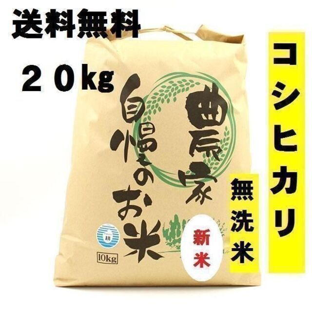 令和4年度 新米コシヒカリ20kg 無洗米　栃木県産