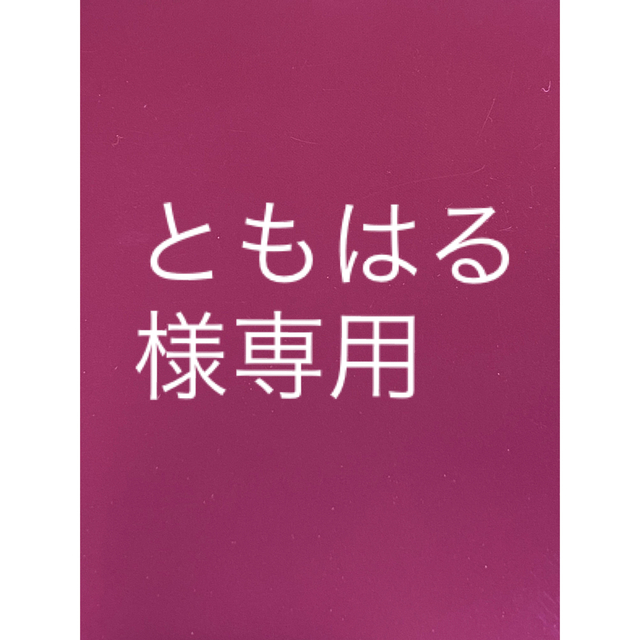 LISSAGE(リサージ)のともはる8686様専用 コスメ/美容のスキンケア/基礎化粧品(洗顔料)の商品写真