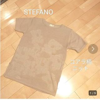 STEFANO ステファノ 日本製　半袖ニット　ベージュ　クルーネック　スリット(カットソー(半袖/袖なし))