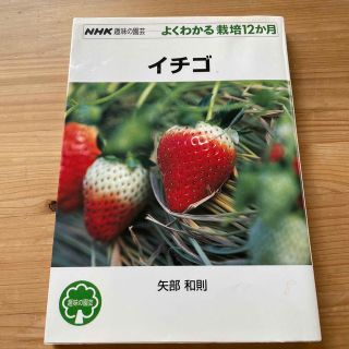 NHK趣味の園芸 よくわかる栽培12か月 イチゴ(趣味/スポーツ/実用)