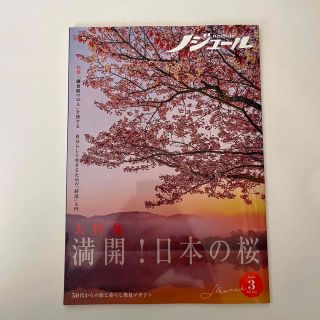 ノジュール　2022年3月号(その他)