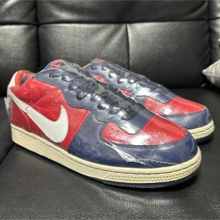 ナイキ(NIKE)のNIKE ZOOM TERMINATOR LOW (ARIZONA)(スニーカー)