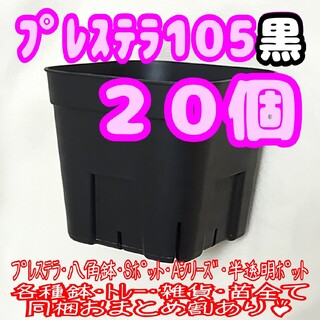 【スリット鉢】プレステラ105黒20個 多肉植物 プラ鉢(プランター)