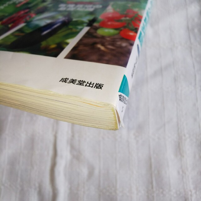 有機・無農薬でできるはじめての家庭菜園 エンタメ/ホビーの本(趣味/スポーツ/実用)の商品写真