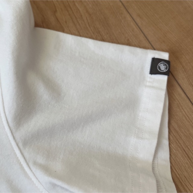 Mammut(マムート)のマムート  Tシャツ　Mammut Lサイズ メンズのトップス(Tシャツ/カットソー(半袖/袖なし))の商品写真