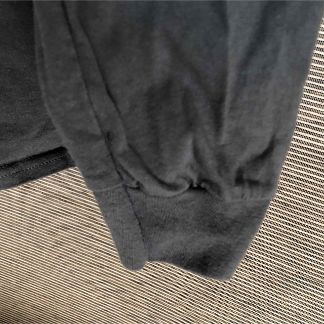GILDAN(ギルタン)の【ギルダン】長袖Tシャツ　ロンT　ドルフィンズ　カレッジロゴ　アニマル11 メンズのトップス(Tシャツ/カットソー(七分/長袖))の商品写真