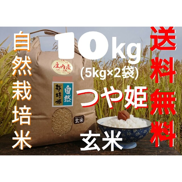 宅配　無施肥　玄米10kg　自然栽培　つや姫　山形県産庄内米　４年産　64.0%OFF　無農薬　氷温熟成