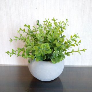 オレガノ フェイクグリーン セメントポット 人工観葉植物(置物)