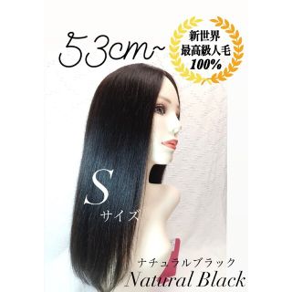 高級レミー人毛100% Sサイズ ブラウン フルウィッグ ロングヘアー 医療