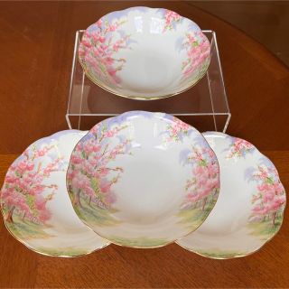 ロイヤルアルバート(ROYAL ALBERT)の【レア美品】ロイヤルアルバート★ブロッサムタイム★フルーツソーサー　4枚(食器)