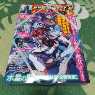 カドカワショテン(角川書店)の月刊ガンダムエース2月号 No.246(漫画雑誌)