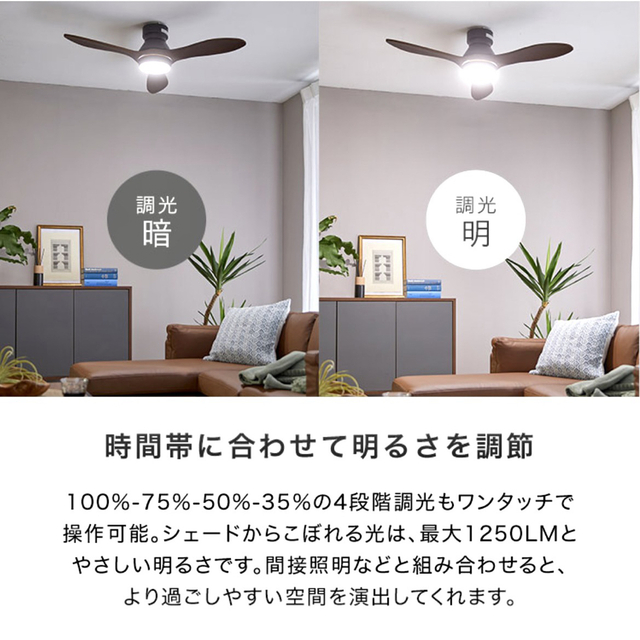 シーリングファンライト 新品未開封 シーリングファンライト 新品未開封