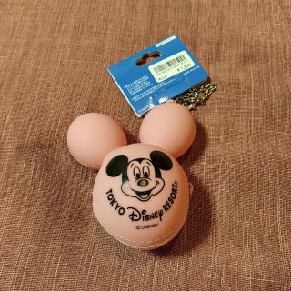 ディズニー(Disney)のディズニーランドバックチャームケースつき(キャラクターグッズ)