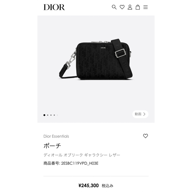 Dior - 【証明書付き】Dior オブリーク ショルダーポーチ(ギャラクシーレザー)
