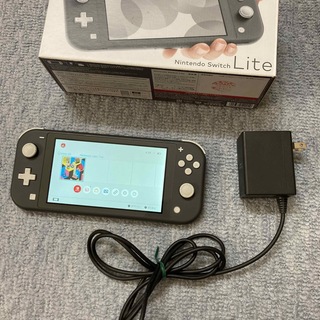ニンテンドースイッチ(Nintendo Switch)のNintendo Switch Liteグレー本体セット中古　動作品(携帯用ゲーム機本体)