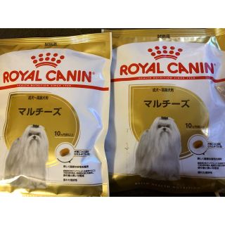 ロイヤルカナン(ROYAL CANIN)のロイヤルカナン　試供品マルチーズ　10か月〜(ペットフード)