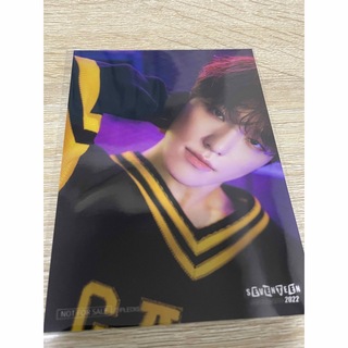 セブンティーン(SEVENTEEN)のSEVENTEEN museum 2022 ディノ 特典カード(K-POP/アジア)