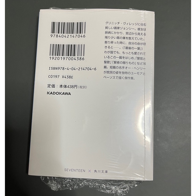 ウォヌ •ディノSEVENTEEN文庫 エンタメ/ホビーの本(文学/小説)の商品写真