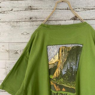 パタゴニア(patagonia)のpatagonia　パタゴニア　メンズ　半袖Tシャツ　バックプリント　L b1p(Tシャツ/カットソー(半袖/袖なし))