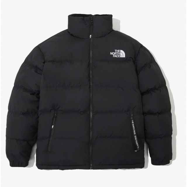 THE NORTH FACE ダウンジャケットEGLON EX