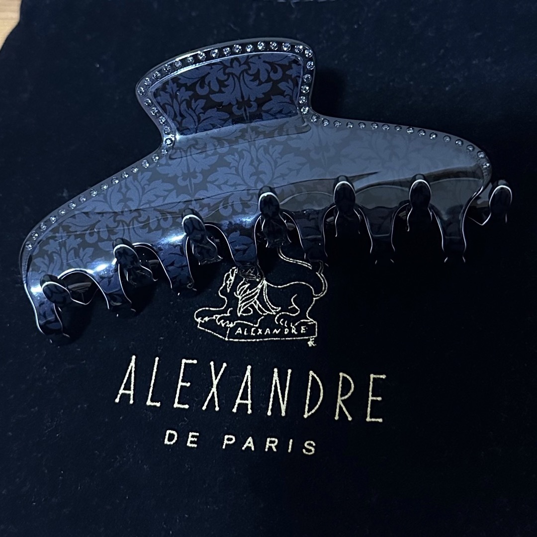 ALEXANDRE DE PARIS クリップL NOIR ABSOLU 6