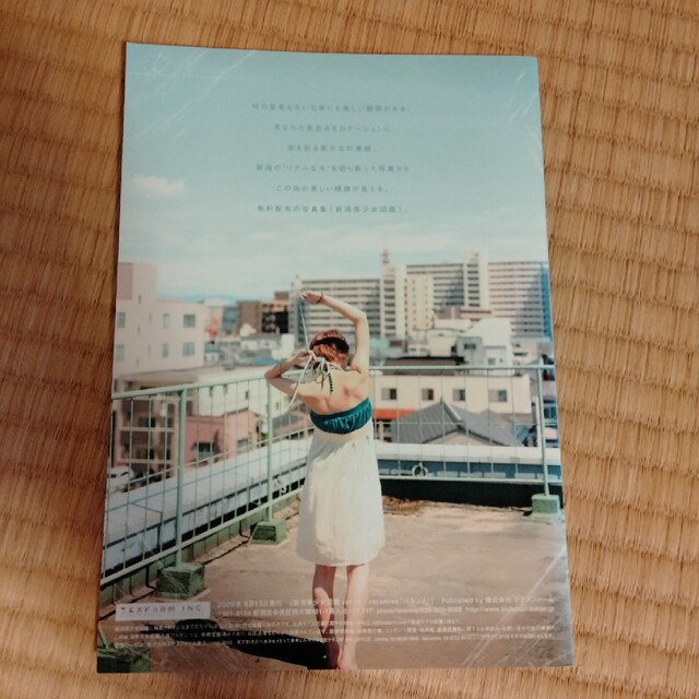 新潟美少女図鑑　レア　2009 エンタメ/ホビーの本(アート/エンタメ)の商品写真